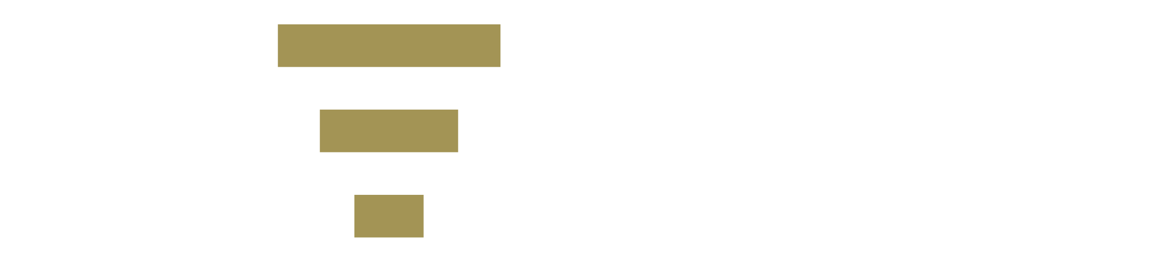 TESIM Logo